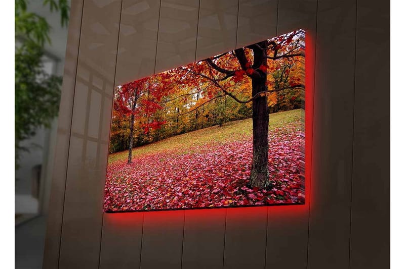 Väggdekor LED-belysning Canvas Målning - Inredning - Tavlor & posters - Canvastavla