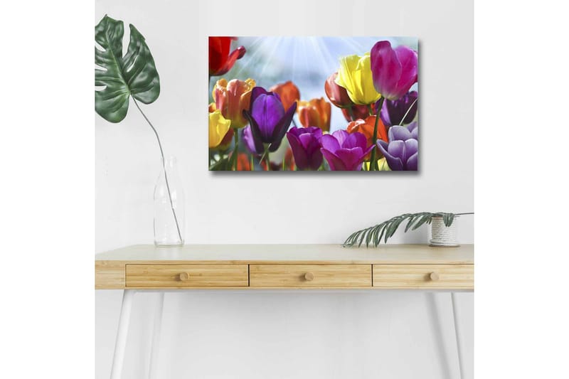 Väggdekor LED-belysning Canvas Målning - Inredning - Tavlor & posters - Canvastavla