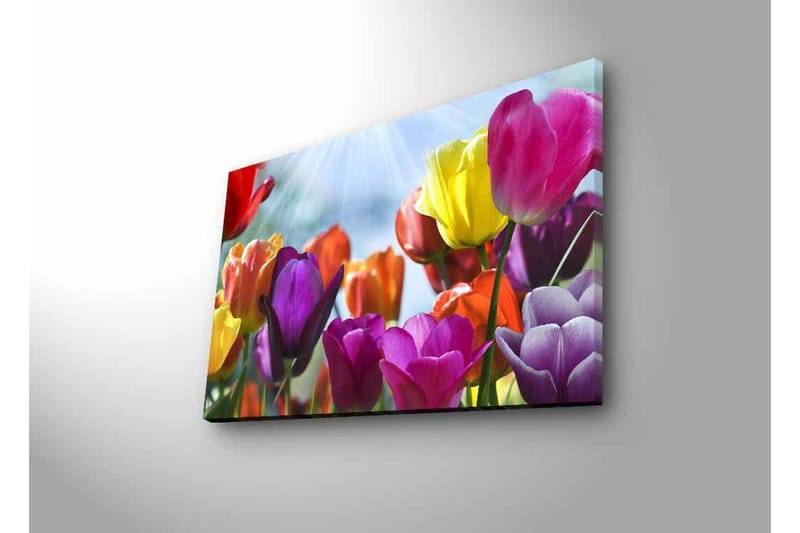Väggdekor LED-belysning Canvas Målning - Inredning - Tavlor & posters - Canvastavla