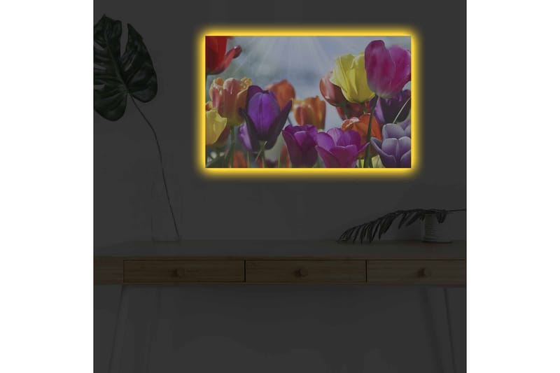Väggdekor LED-belysning Canvas Målning - Canvastavla