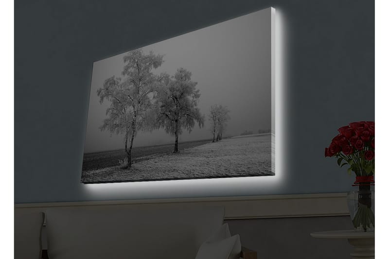 Väggdekor LED-belysning Canvas Målning - Inredning - Tavlor & posters - Canvastavla
