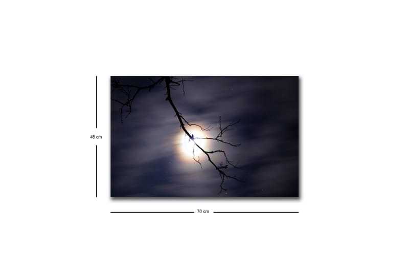 Väggdekor LED-belysning Canvas Målning - Inredning - Tavlor & posters - Canvastavla