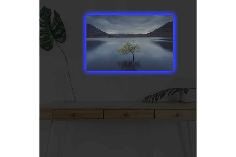Väggdekor LED-belysning Canvas Målning - Inredning - Tavlor & posters - Canvastavla