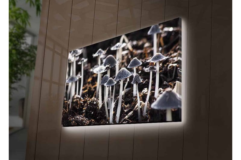Väggdekor LED-belysning Canvas Målning - Inredning - Tavlor & posters - Canvastavla