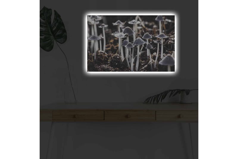 Väggdekor LED-belysning Canvas Målning - Inredning - Tavlor & posters - Canvastavla