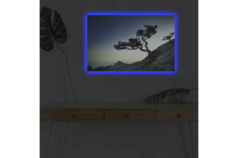 Väggdekor LED-belysning Canvas Målning - Inredning - Tavlor & posters - Canvastavla