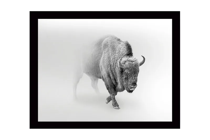 Väggdekor MDF Målning