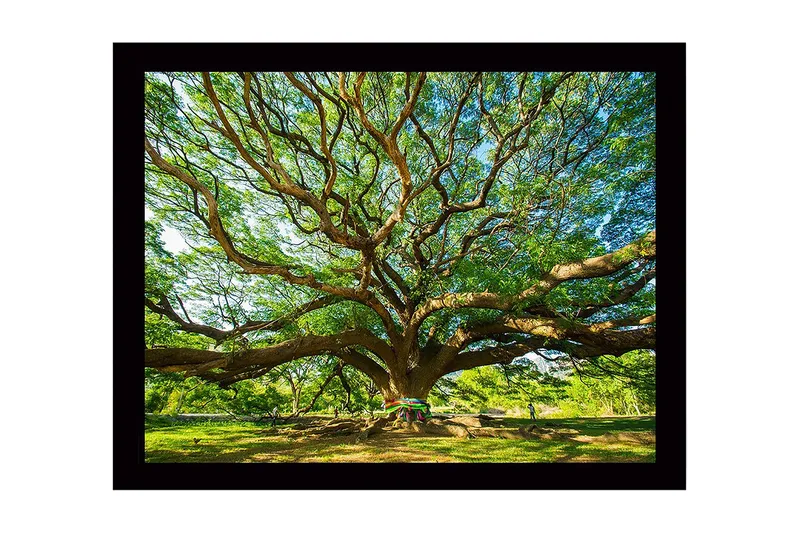 Väggdekor MDF Målning