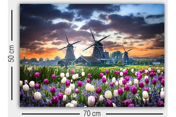 Decorative Canvas Painting 50x70 - Inredning - Tavlor & posters - Canvastavla