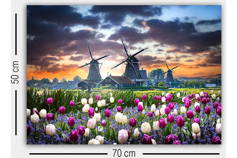 Decorative Canvas Painting 50x70 - Inredning - Tavlor & posters - Canvastavla