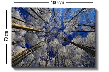 Decorative Canvas Painting 70x100 - Inredning - Tavlor & posters - Canvastavla