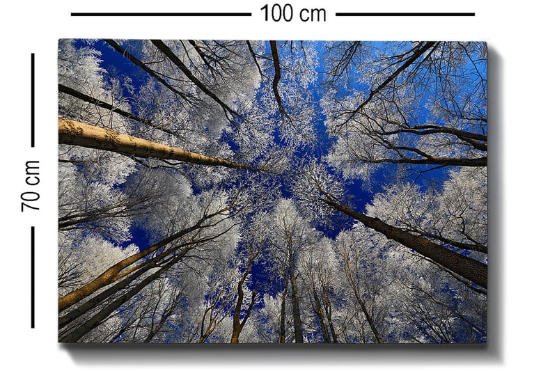 Decorative Canvas Painting 70x100 - Inredning - Tavlor & posters - Canvastavla