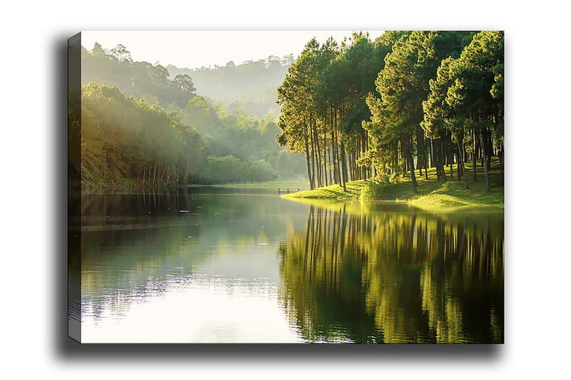 Decorative Canvas Painting 70x100