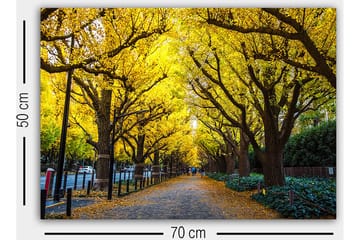 Decorative Canvas Painting 50x70 - Inredning - Tavlor & posters - Canvastavla