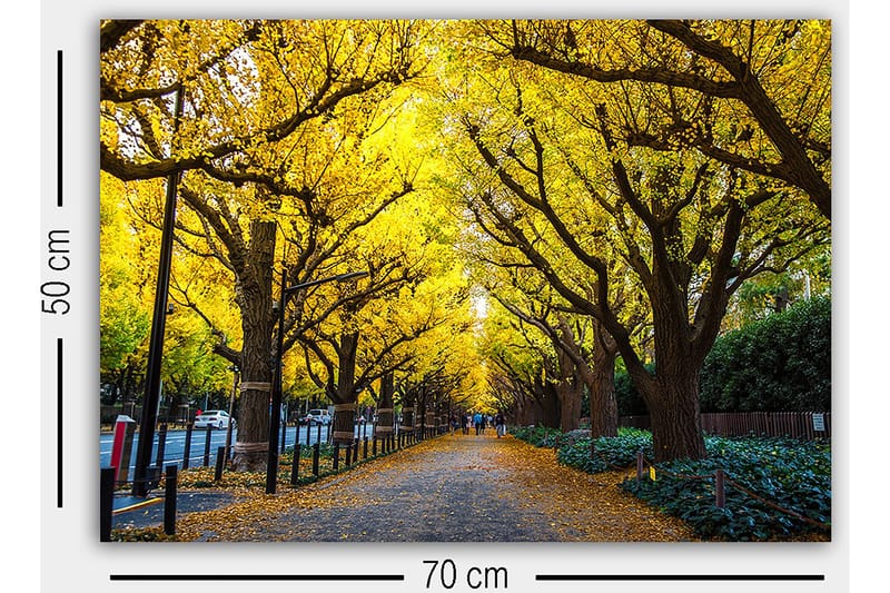 Decorative Canvas Painting 50x70 - Inredning - Tavlor & posters - Canvastavla
