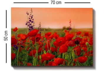 Decorative Canvas Painting 50x70 - Inredning - Tavlor & posters - Canvastavla