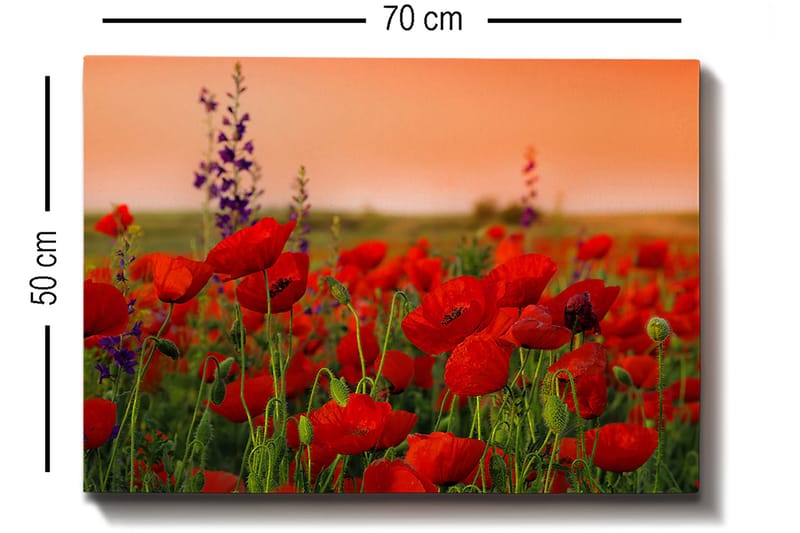 Decorative Canvas Painting 50x70 - Inredning - Tavlor & posters - Canvastavla