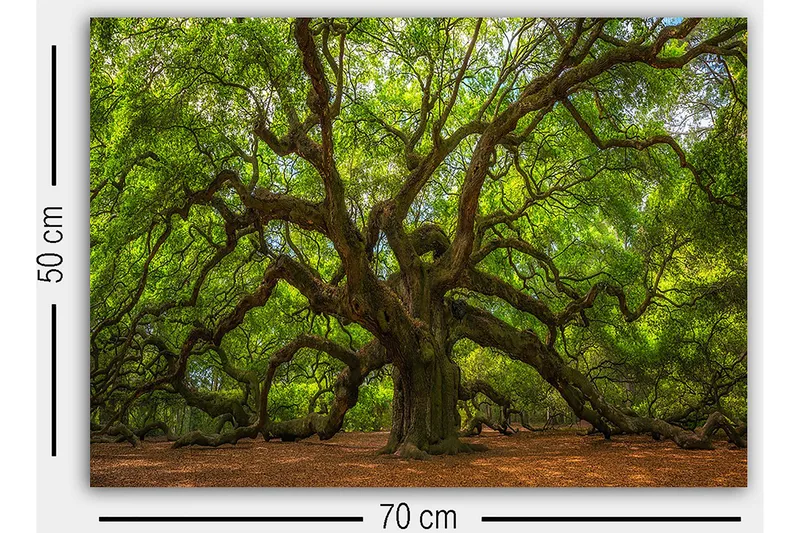 Decorative Canvas Painting 50x70 - Inredning - Tavlor & posters - Canvastavla