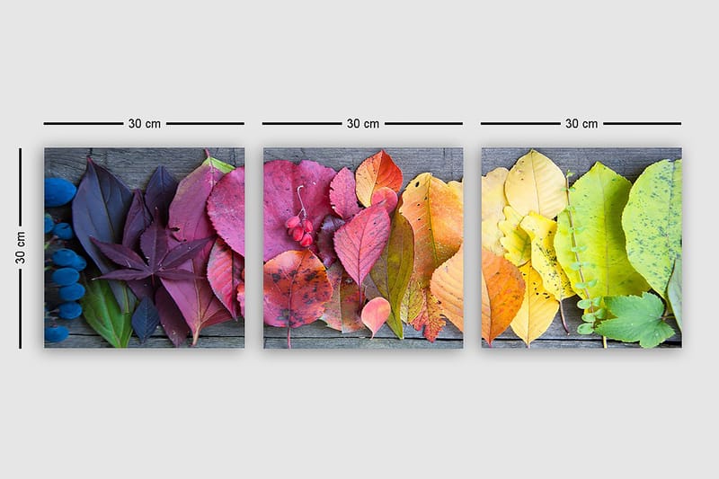 Decorative Canvas Painting (3 Pieces) 30x30 - Inredning - Tavlor & posters - Canvastavla