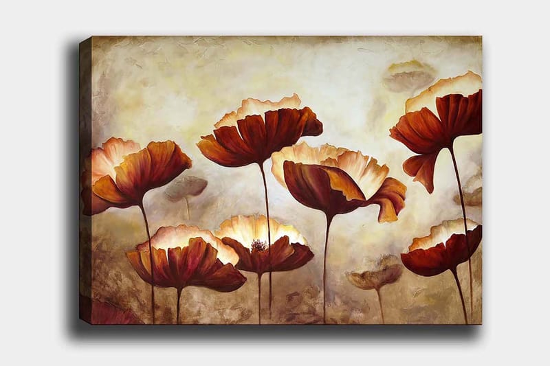 Decorative Canvas Painting 70x100