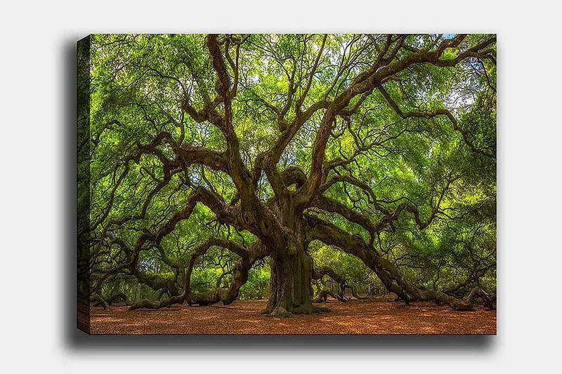 Decorative Canvas Painting 50x70