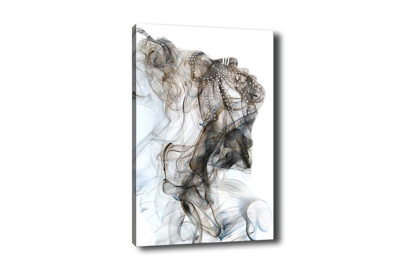 Decorative Canvas Painting 70x100