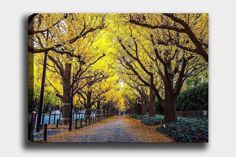 Decorative Canvas Painting 50x70