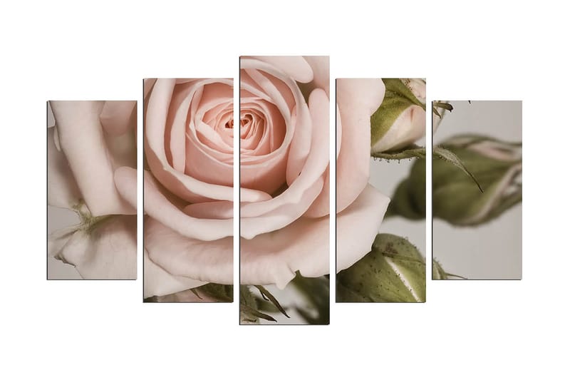 Decorative MDF Painting (5 Pieces) 20x60