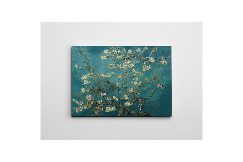 Dekorativt Dorosmålning Marro Flerfärgad - 70 x 100 cm - Inredning - Tavlor & posters - Canvastavla