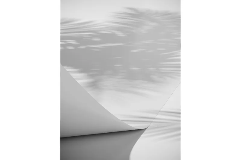 Poster Papyrus 70x100 cm, Vit