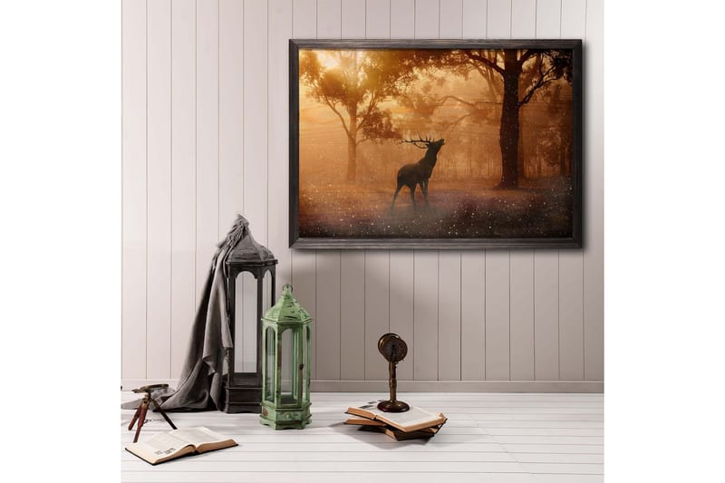 Deer At Dawn Foto Orange/Brun - 70x50 cm - Djur poster - Posters & prints