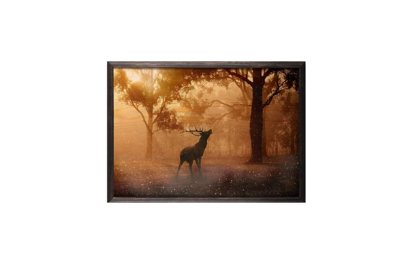 Deer At Dawn Foto Orange/Brun - 70x50 cm - Djur poster - Posters & prints