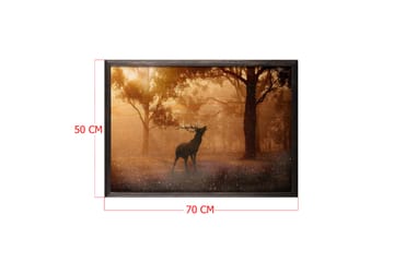 Deer At Dawn Foto Orange/Brun - 70x50 cm - Inredning - Tavlor & posters - Posters & prints - Fotografiska posters
