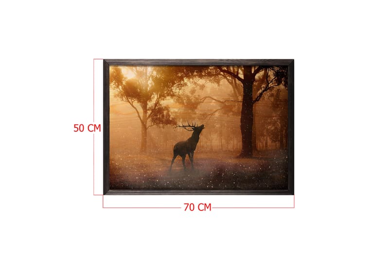 Deer At Dawn Foto Orange/Brun - 70x50 cm - Djur poster - Posters & prints