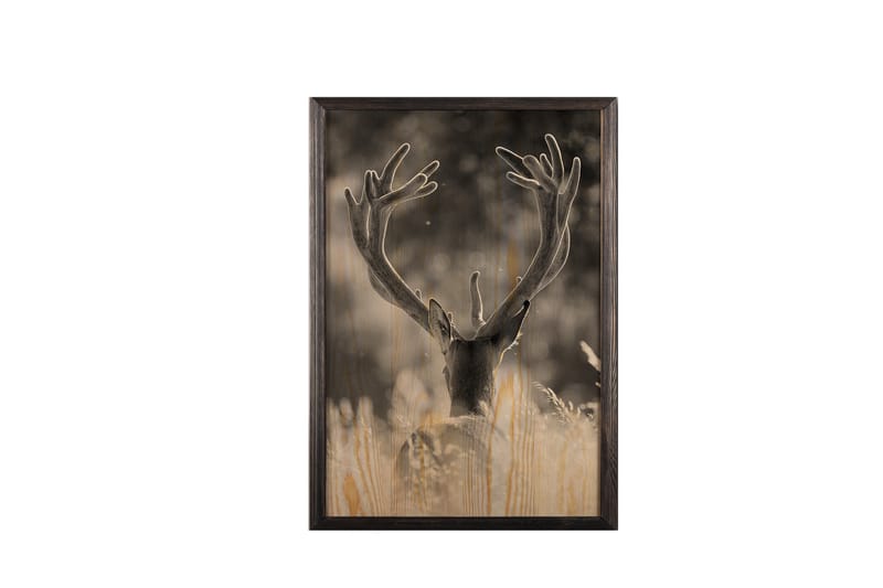 Deer In The Field Painting/Foto Grå/Beige - 50x70 cm - Djur poster - Posters & prints