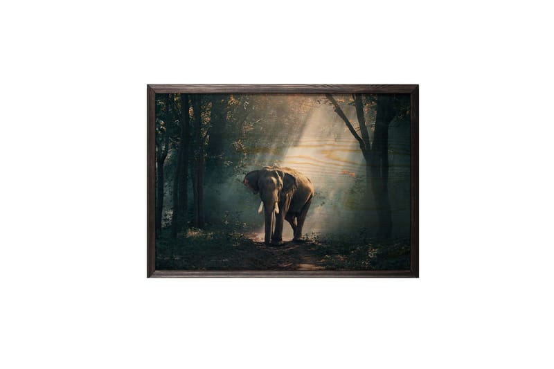 Elephant In The Djungle Foto Grön/Beige - 70x50 cm - Inredning - Tavlor & posters - Posters & prints - Fotografiska posters