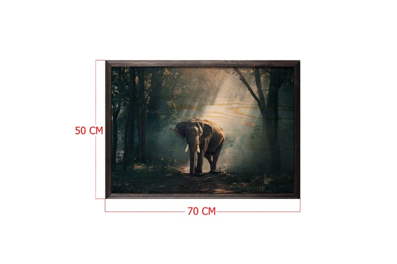 Elephant In The Djungle Foto Grön/Beige - 70x50 cm - Inredning - Tavlor & posters - Posters & prints - Fotografiska posters
