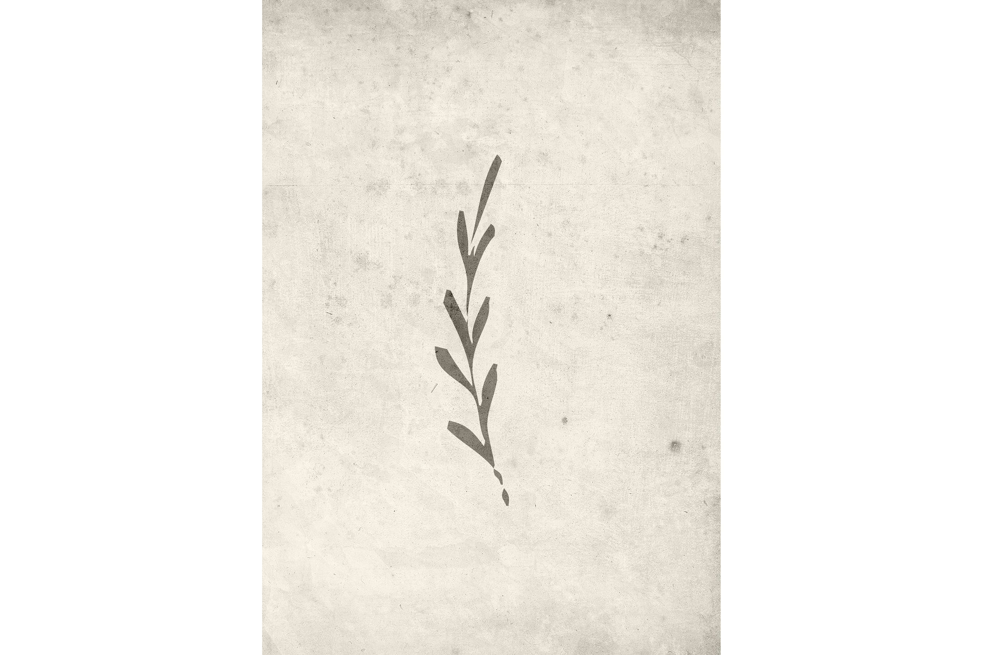 Poster Autumn leaf 21x30 cm - Beige