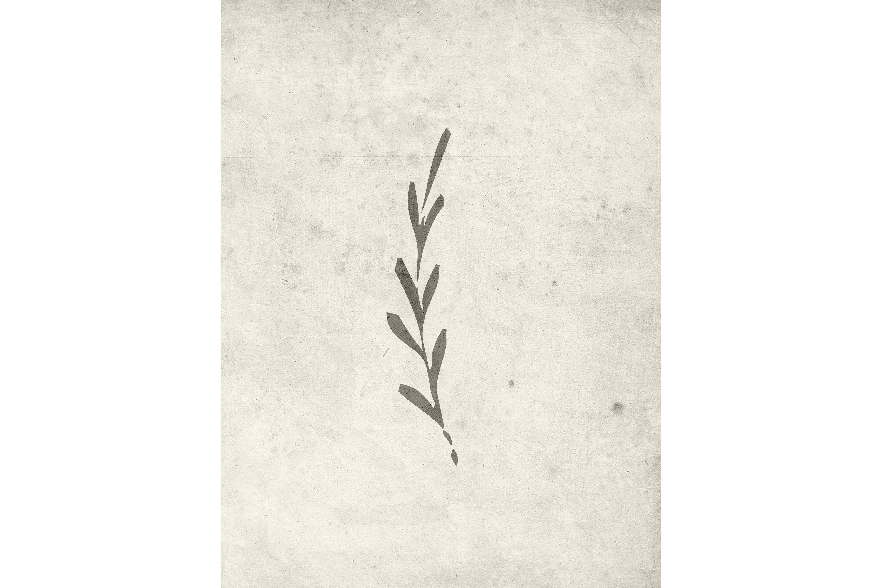Poster Autumn leaf 30x40 cm Beige