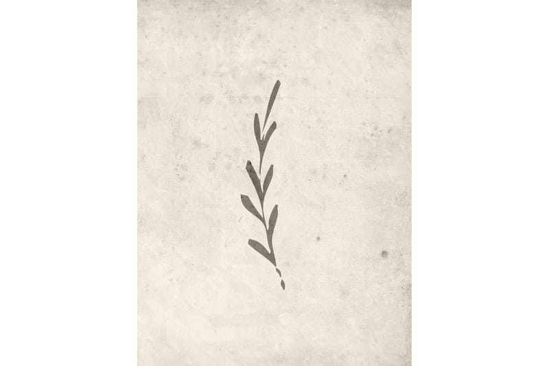 Poster Autumn leaf 30x40 cm, Beige