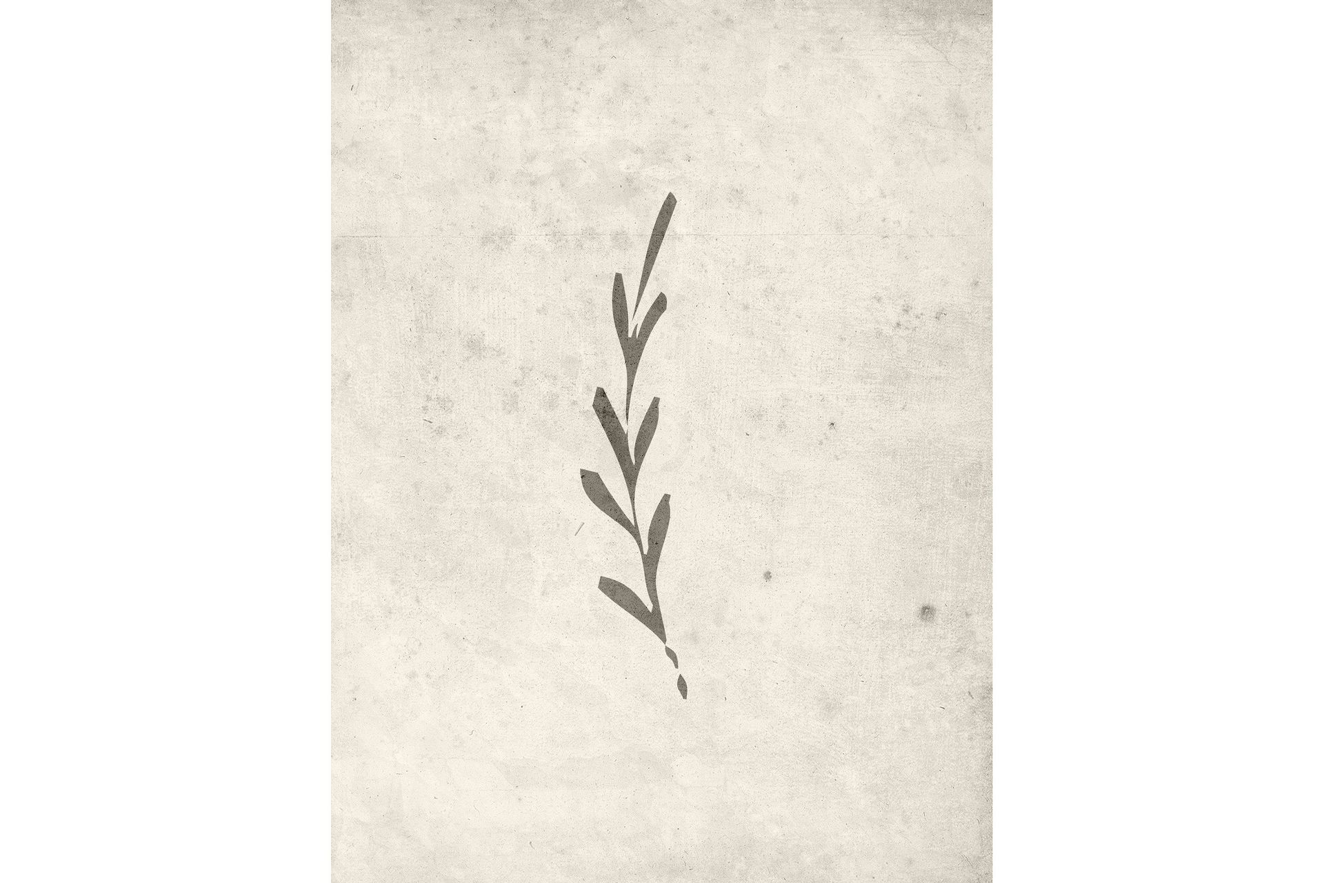Poster Autumn leaf 30x40 cm - Beige