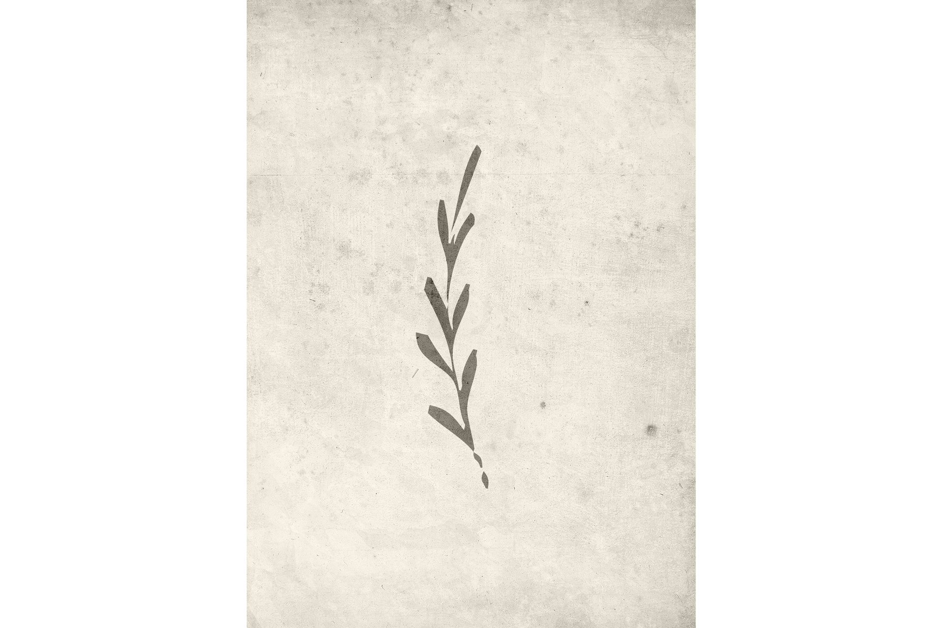 Poster Autumn leaf 50x70 cm - Beige