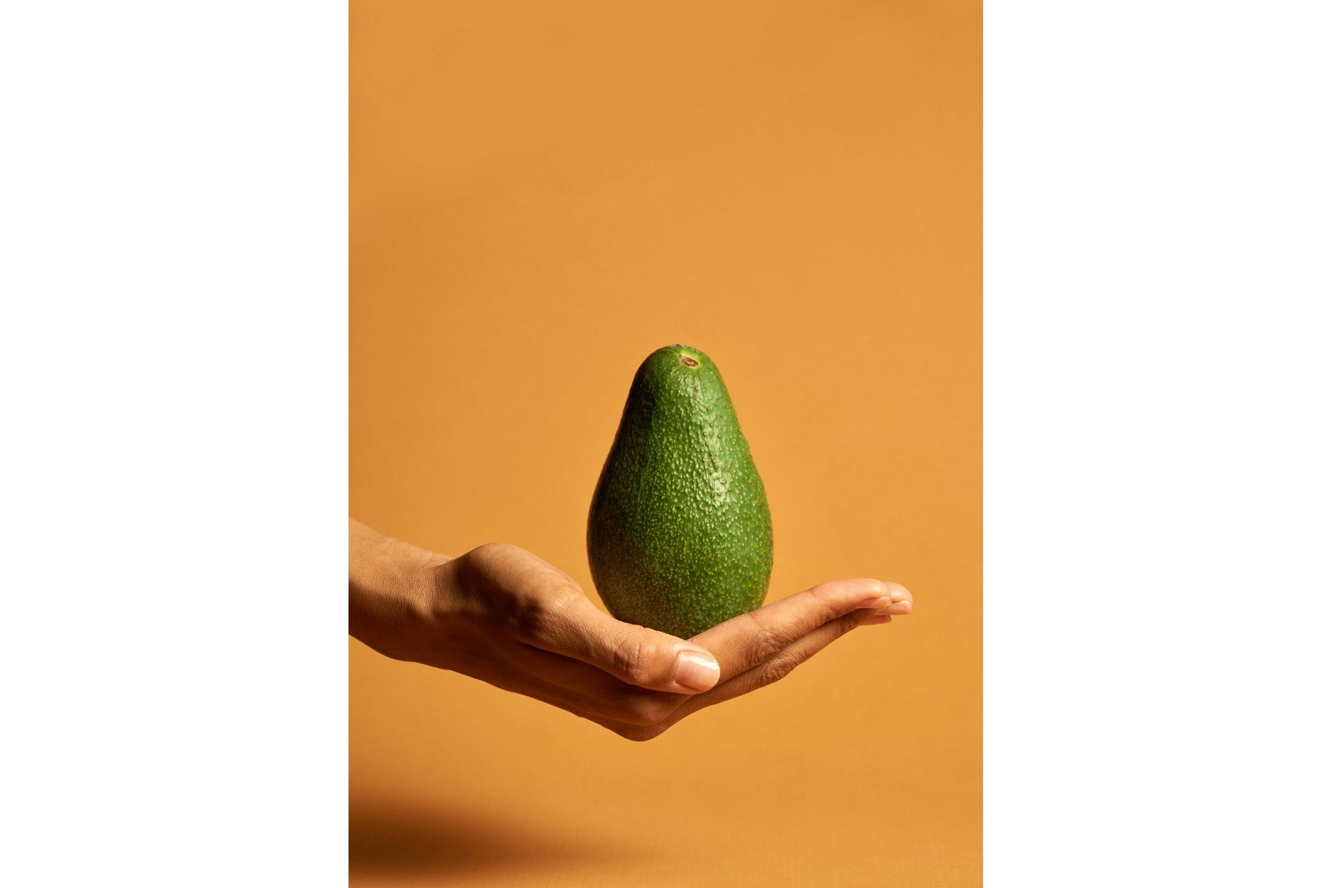 Poster Avocado 50x70 cm - Orange/Grön