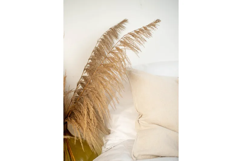 Poster Bohemian 50x70 cm, Beige