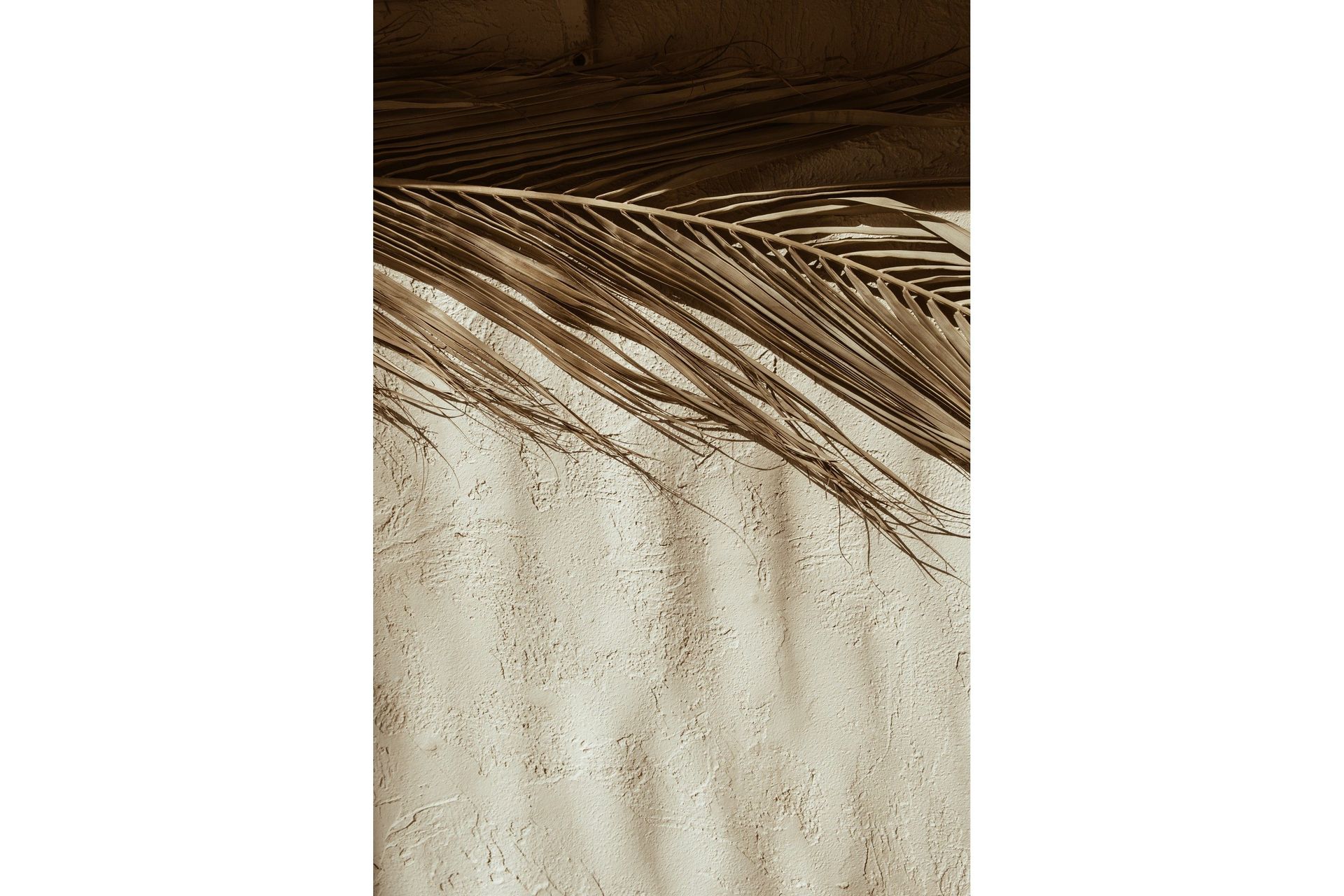 Poster Dessert 50x70 cm - Beige