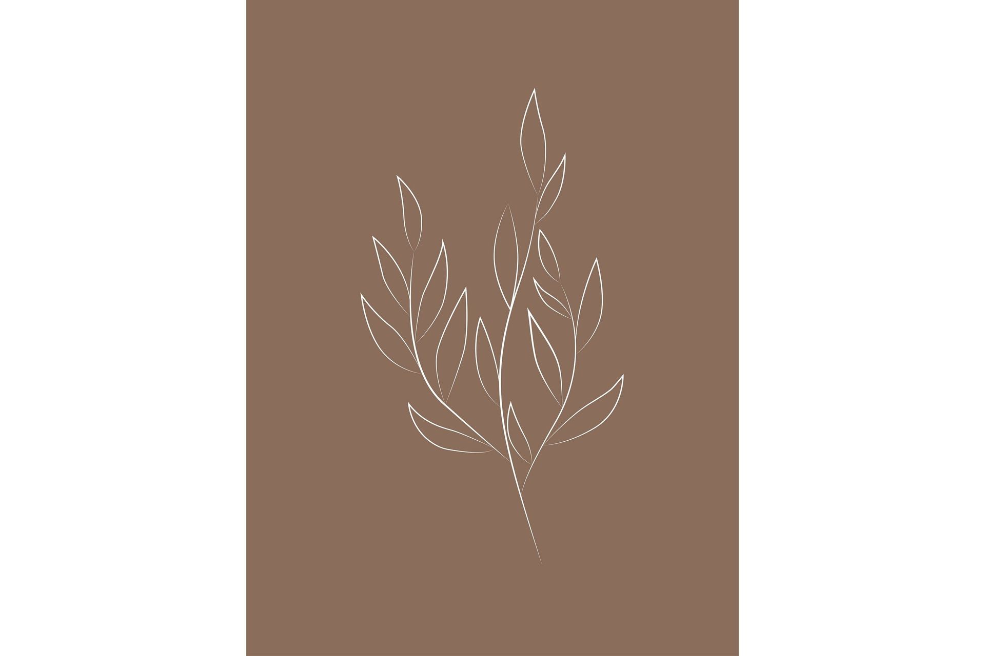 Poster Drawed leaf 30x40 cm - Brun