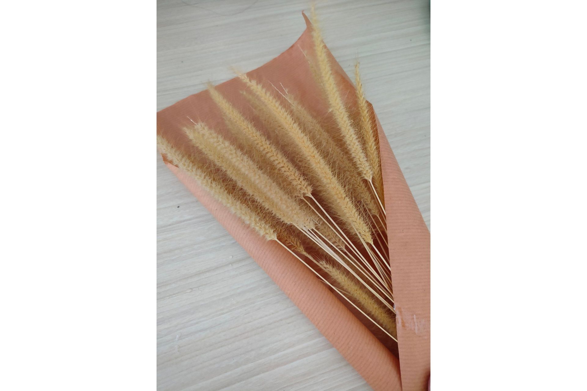Poster Dry flowers 21x30 cm - Rosa/Beige