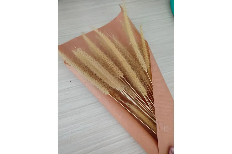 Poster Dry flowers 30x40 cm, Rosa/Beige