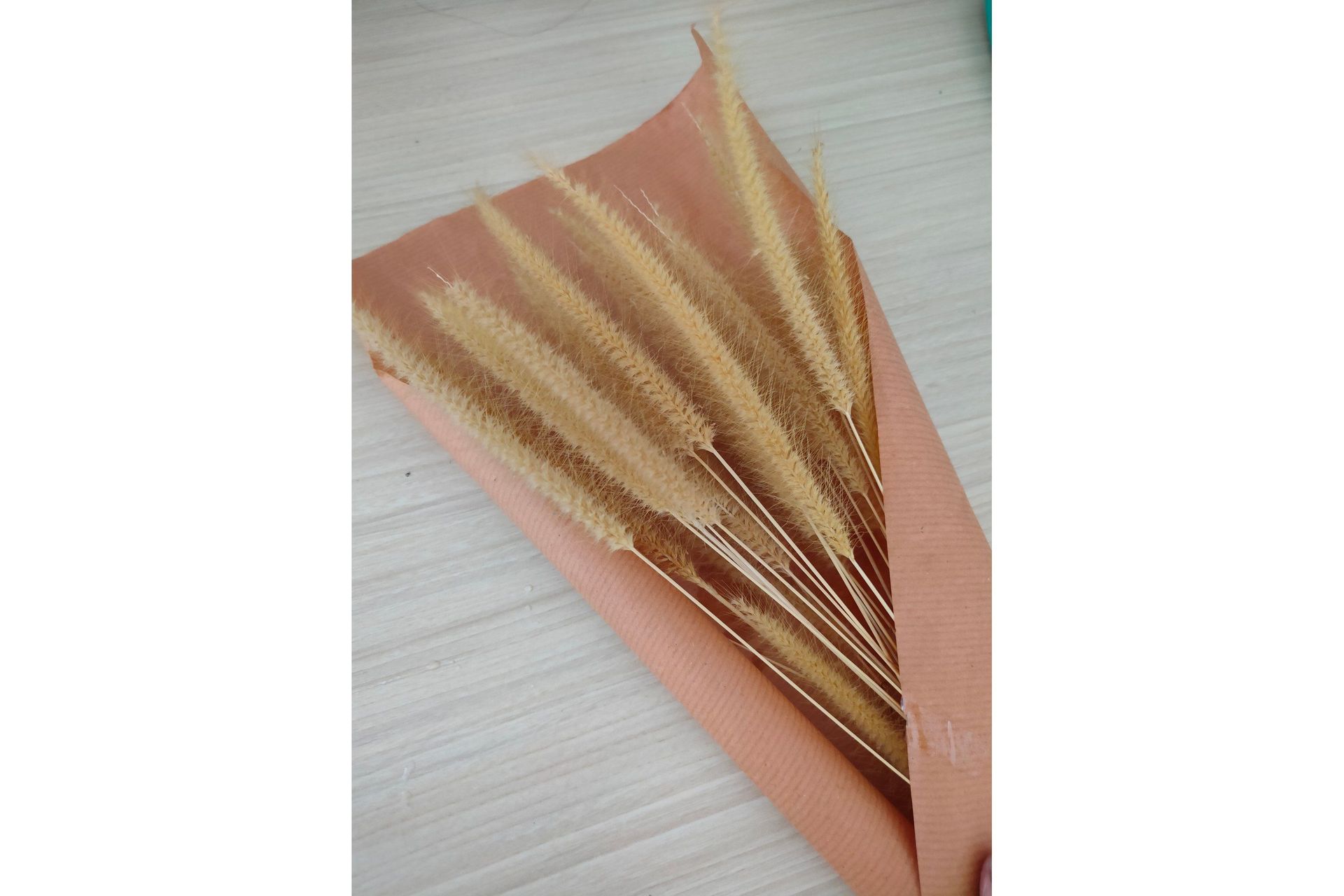 Poster Dry flowers 50x70 cm - Rosa/Beige