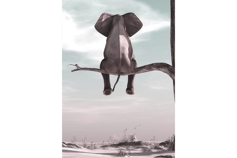 Poster Elephant 50x70 cm - Multifärgad - Posters & prints